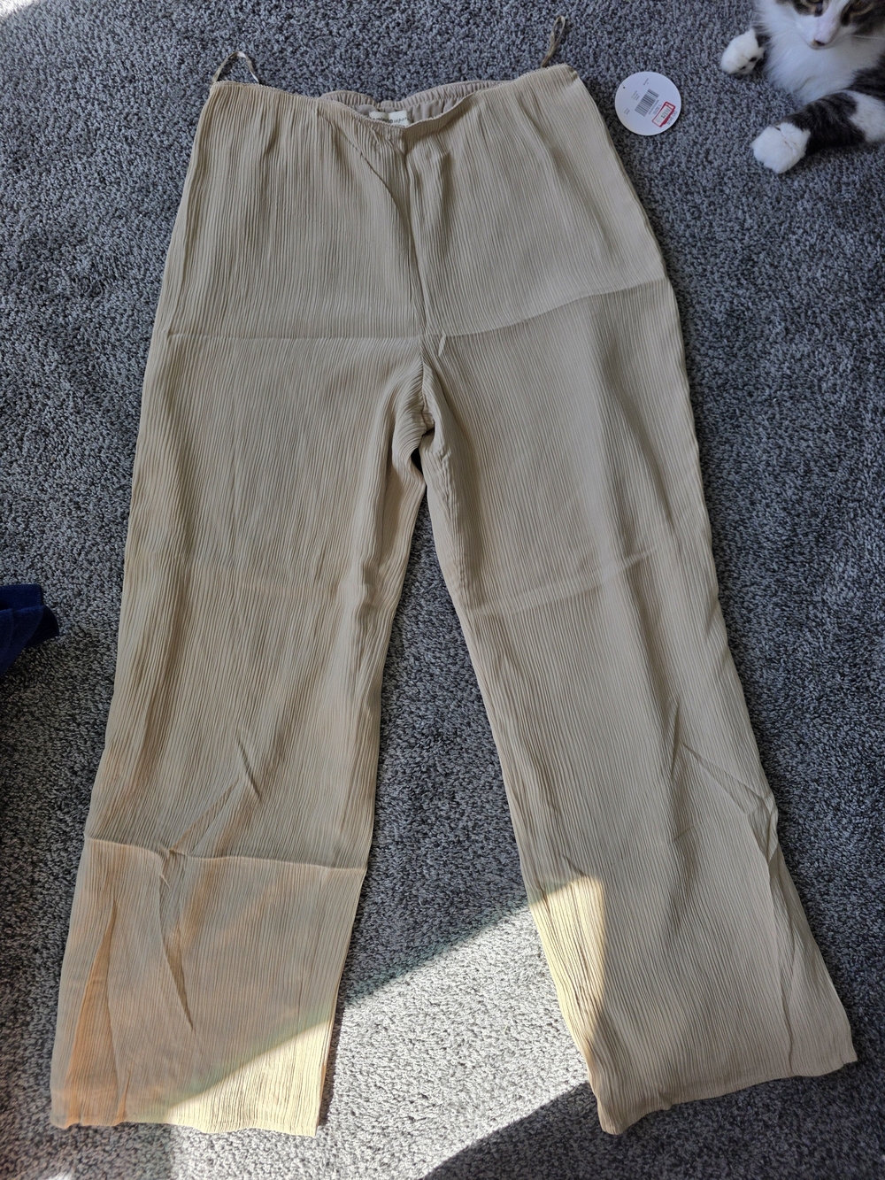 Wide Leg Pleated Pants in Beige